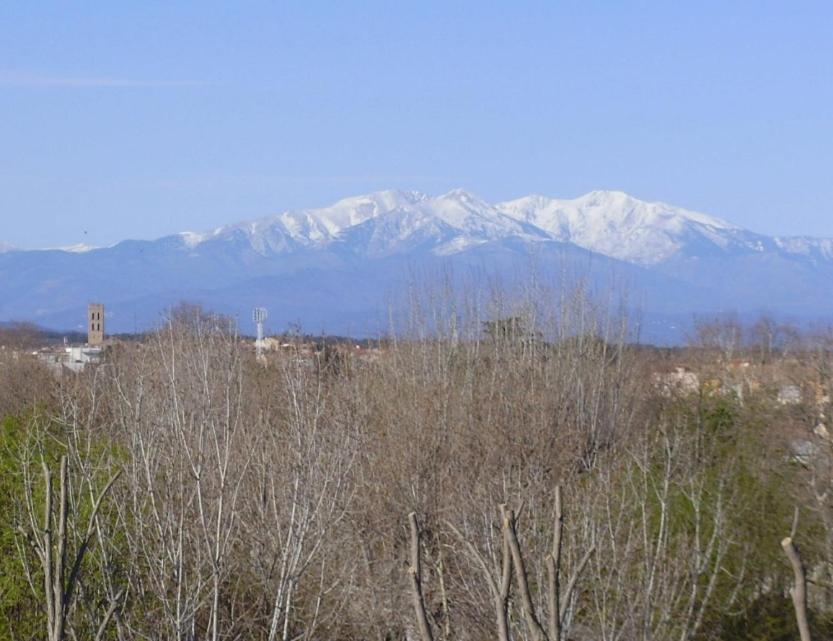 Appartamento Garnier Argelès-sur-Mer Esterno foto